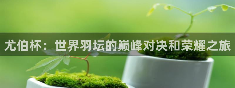 尤伯杯：世界羽坛的巅峰对决和荣耀之旅