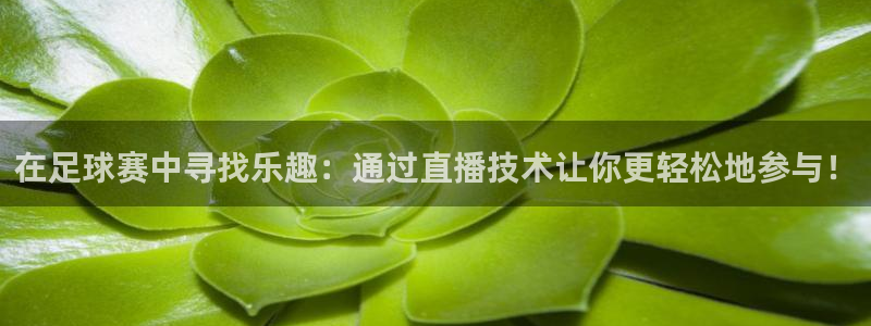 在足球赛中寻找乐趣：通过直播技术让你更轻松地参与！