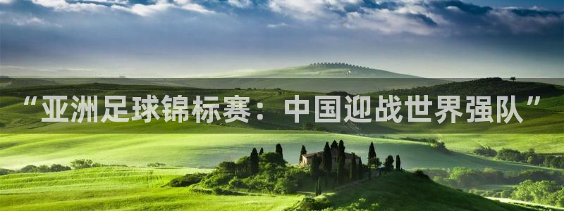  “亚洲足球锦标赛：中国迎战世界强队”