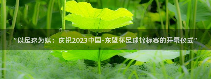  北京米兰体育文化发展有限公司：“以足球为媒：庆祝2023中国