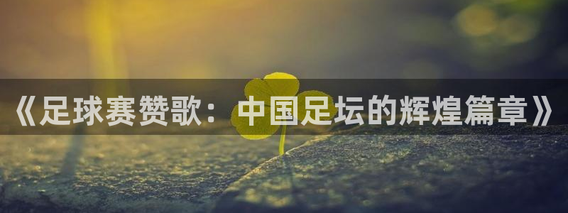 米兰体育场建设计划图：《足球赛赞歌：中国足坛的辉煌篇章》
