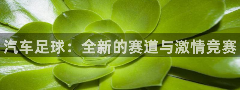  米兰体育欧洲实体店分布图：汽车足球：全新的赛道与激情竞赛