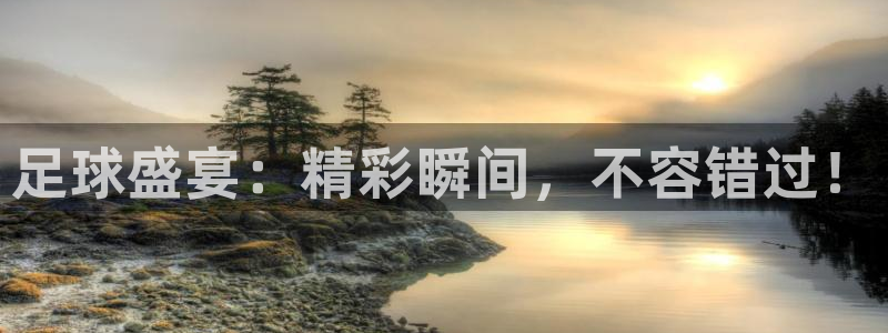 米兰体育馆：足球盛宴：精彩瞬间，不容