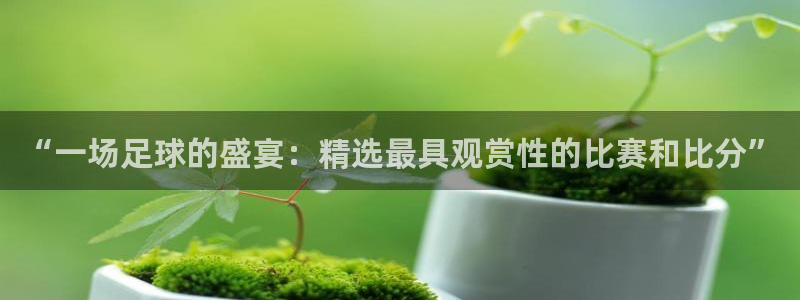  米兰体育俱乐部在哪里：“一场足球的盛宴：精选最具观赏性的比赛