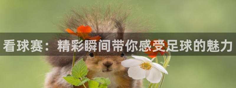 米兰体育最新：看球赛：精彩瞬间带你感